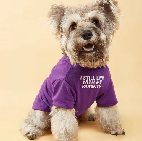  Blu Spot Inc. Pet "I Still Live with my Parents" Statement Purple T-Shirt (Medium)