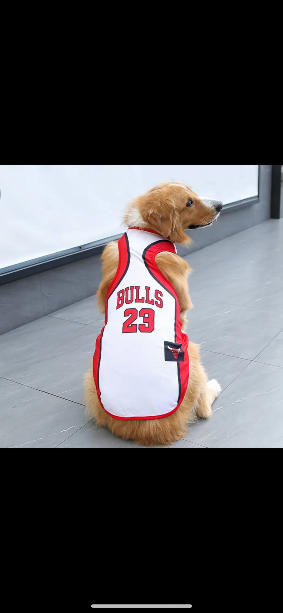 Basketball Pet Clothing